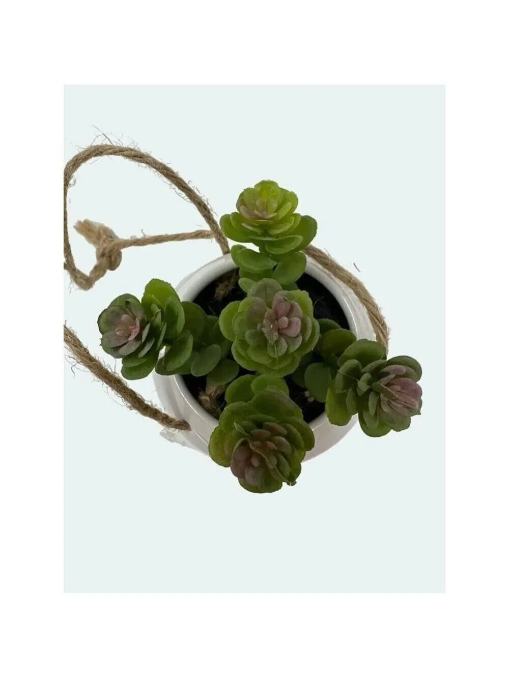Plant Artificial Hanging Miniature Succulent Plant Faux Fake Ceramic Green White